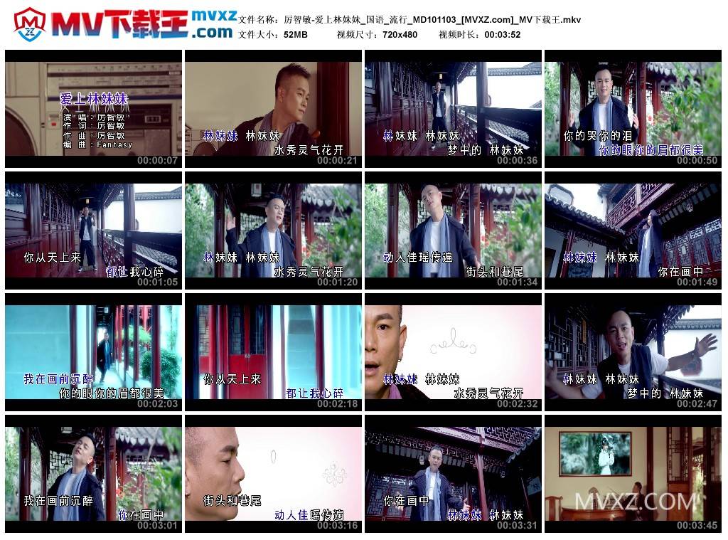 厉智敏-爱上林妹妹_国语_流行_MD101103